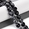 Natural Snowflake Obsidian Beads Strands G-NH0021-A09-01-2