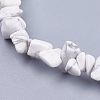 Natural Howlite Stone Bead Strands G-R192-15-3