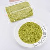 8/0 Glass Seed Beads SEED-S006-1-2