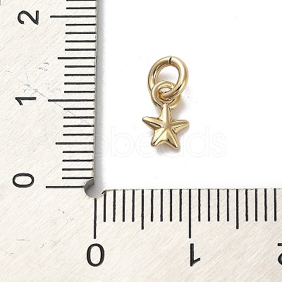 Golden Brass Charms KK-H493-01G-09-1