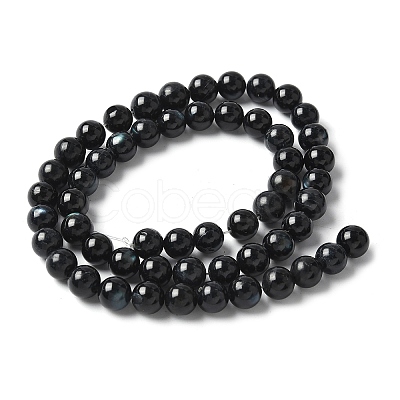 Natural Black Lip Shell Beads Strands SSHEL-C013-01B-1