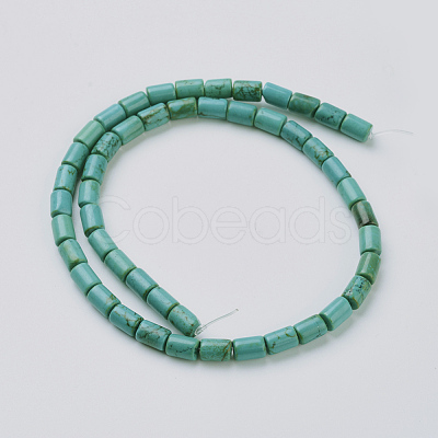 Natural Magnesite Beads Strands TURQ-K003-21D-1