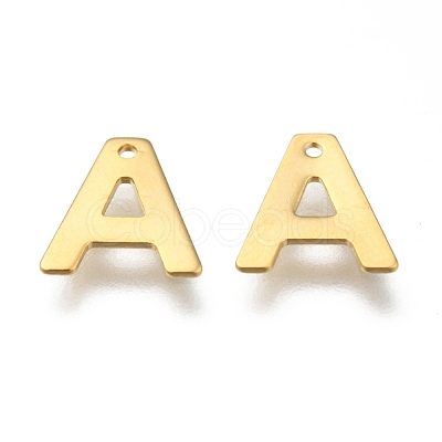 304 Stainless Steel Charms STAS-P141-A-1