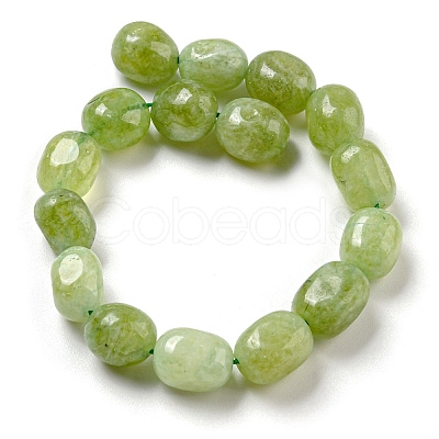 Natural Malaysia Jade Beads Strands G-P528-N01-01-1
