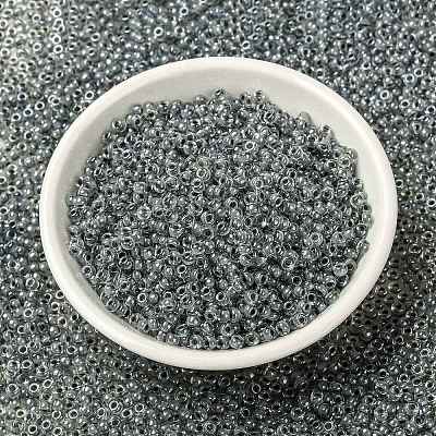 MIYUKI Round Rocailles Beads X-SEED-G008-RR0240-1