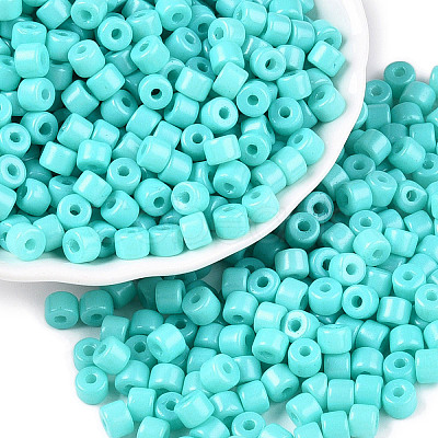 Opaque Baking Paint Glass Seed Beads SEED-T008-02O-1