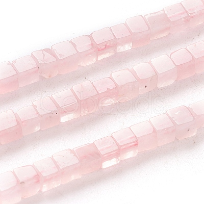 Natural Rose Quartz Beads Strands G-F631-K09-1