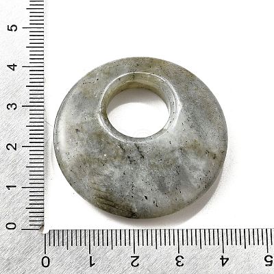 Natural Labradorite Pendants G-F708-05J-1