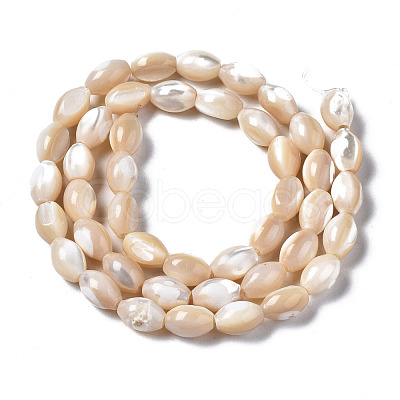Natural Trochid Shell/Trochus Shell Beads Strands SSHEL-S266-021B-02-1