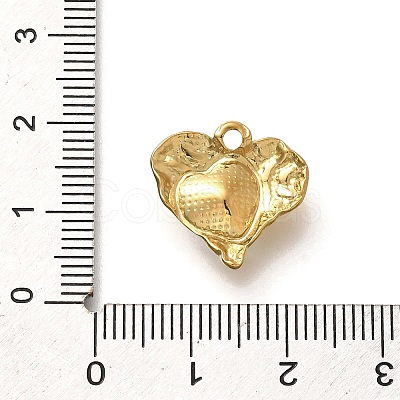 304 Stainless Steel Pendants STAS-Q346-05G-05-1