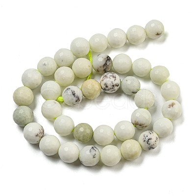 Natural Dendritic Jasper Beads Strands G-E571-A05-03-1