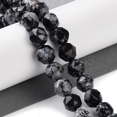 Natural Snowflake Obsidian Beads Strands G-NH0021-A09-01-1