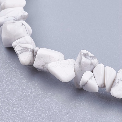 Natural Howlite Stone Bead Strands G-R192-15-1