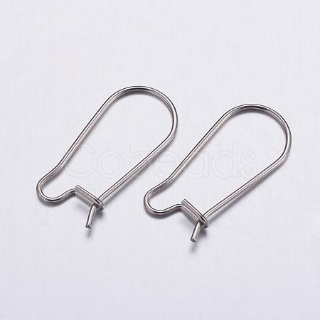 Tarnish Resistant 316 Surgical Stainless Steel Hoop Earrings Settings STAS-K146-040-20x10mm-1