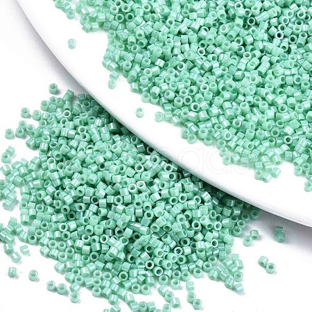 FGB 11/0 Grade A Baking Paint Glass Seed Beads SEED-S030-1036-1