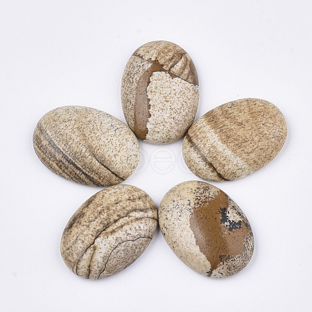 Natural Picture Jasper Cabochons G-S349-25A-01-1