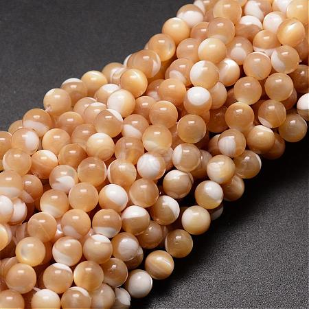 Natural Sea Shell Beads Strands SSHEL-K013-6mm-B-1