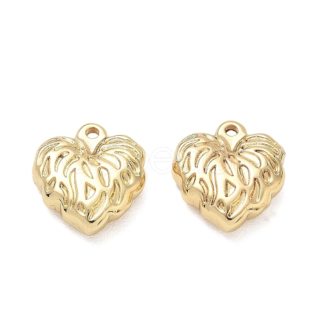 304 Stainless Steel Pendants SA-CBA3037-20G-10-1
