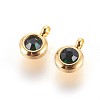 304 Stainless Steel Rhinestone Charms X-STAS-P237-10G-07-1