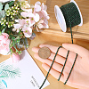 1 Roll Electrophoresis Iron Rhinestone Strass Chains CHC-GF0001-06E-3