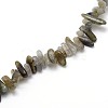 Labradorite Beads Strands G-O051-08-3