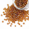 Transparent Colours Rainbow Round Glass Seed Beads X-SEED-A007-3mm-162C-1