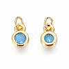 Brass with Single Cubic Zirconia Charms ZIRC-F095-03G-3