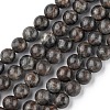 Natural Labradorite Beads Strands G-G0003-C03-1