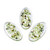 Transparent Acrylic Cabochons TACR-N006-66B-1