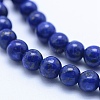 Natural Lapis Lazuli Beads Strands G-P342-01-4mm-A-3