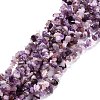 Natural Amethyst Beads Strands G-P332-07-3