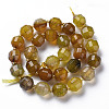 Natural Agate Beads Strands G-T131-118H-2