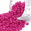 Baking Paint Glass Seed Beads SEED-S002-K24-1