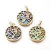 Natural Abalone Shell/Paua Shell Pendants BSHE-I014-G-4