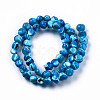 Natural Trochid Shell/Trochus Shell Beads Strands SSHEL-N032-48-A03-2