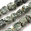 Raw Rough Natural Green Spot Jasper Beads Strands G-Z087-B16-2