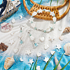 4 Strands 4 Styles Natural Freshwater Shell Beads Strands SHEL-BC0001-032-5
