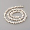 Natural Cultured Freshwater Pearl Beads Strands PEAR-G007-33-2