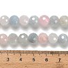Natural Morganite Beads Strands G-H329-F01-8mm-5