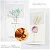 DIY Scrapbook AJEW-WH0100-030-4