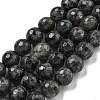 Natural Larvikite Beads Strands G-E571-A09-03-1