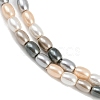 Electroplated Shell Pearl Beads Strands BSHE-H113-06B-03-3