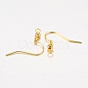 Iron Earring Hooks X-E135-G-1