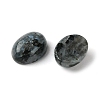 Natural Larvikite Cabochons G-A094-01B-07-2
