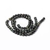 Natural Kambaba Jasper Beads Strands G-M172-12mm-01-2