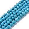 Natural Howlite Beads Strands G-C180-15A-1