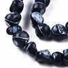 Natural Trochid Shell/Trochus Shell Beads Strands SSHEL-N032-48-A01-3