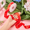 1 Roll Imitation Leather Polyester Ribbon LC-TA0001-02E-5