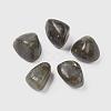 Natural Labradorite Beads G-K302-A09-1