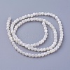 Shell Beads Strands SSHEL-E571-38-3mm-2